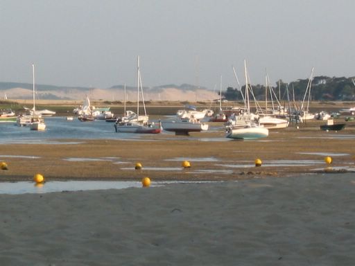 maree basse